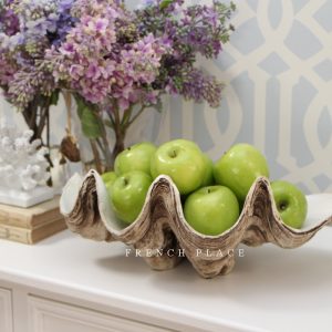 Vintage Clam Shell