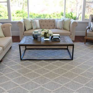 Ivy Hamptons Rug Medium